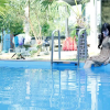Отель Phong Nha Dawn Homestay, фото 37
