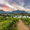 Отель De Zalze Lodge, фото 21