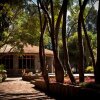 Отель Abay Minch Lodge в Бахаре Дар