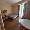 Отель 1Room Flat for rent in Bakuriani, фото 1