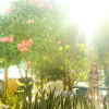 Отель Pousada Primavera MS, фото 11
