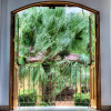 Отель Villa for 12 Guests Best Whale s Tail and Ocean V, фото 13