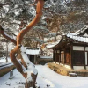 Отель Okyeon pavilion, фото 24