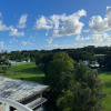 Отель Stunning Views Best location in Hilo 2BR, фото 19