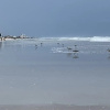 Отель Zen Beach Retreat, фото 10