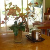 Отель Gourmet Retreat on Fairway, фото 7
