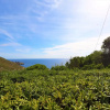 Отель Panorama I (CLV371), фото 18