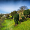 Отель Stunning 8 Beds Country Retreat nr Richmond, фото 15