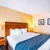 Отель Comfort Inn Falls Church - Tysons Corner, фото 35