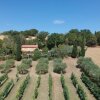 Отель Home set in Olive Grove With Stunning Views, фото 15