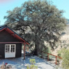 Отель Cabana La Encina, фото 12