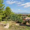 Отель Holiday Country house Mallorca, фото 14