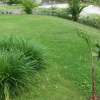 Отель Sadhoo Inn, фото 25
