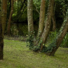 Отель Balneario de Arteixo, фото 5