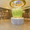 Отель Motel 123, фото 49