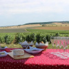 Отель Maison d'hôtes La Poterne, фото 17