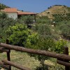 Отель La Collina degli Ulivi - Casa Ulivi 2, фото 10