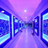 Отель Tiger Garden International Hotel, фото 16