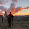 Отель Rural Dehesa del Rincón, фото 34