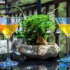 Отель Taishan Villa  Resort Hotel, фото 7
