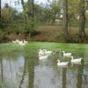 Отель Bio Ferienhof Erzengel, фото 17