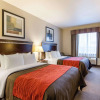 Отель Comfort Inn And Suites Winnie, фото 6