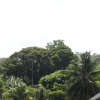 Отель Pousada Luar de Itacimirim, фото 22