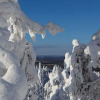 Отель Qruka Kuusamo in Kuusamo, фото 21