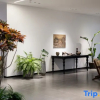 Отель Sanya Taihai Yipin Homestay (Haitang Bay Duty Free City Branch), фото 4