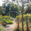 Отель de geheime tuin - boshuis, фото 13