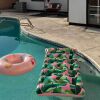 Отель Stylish & Central Mesa Home With Private Pool!, фото 17
