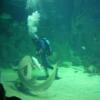 Гостиница Diamonds of the Black Sea Guest House, фото 24