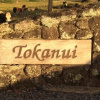 Отель Tokanui Country Lodge, фото 1