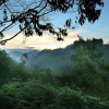 Отель Elysium Gardens Hill Resorts, фото 13