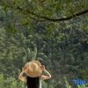 Отель Shiqiyi No.10 Yunye Wangshan Villa Hotel (Anji Shenxi Canyon Drifting Branch), фото 8