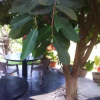 Отель W7 Home Stay, фото 1