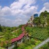 Отель Longshan Hot Spring Hotel, фото 28