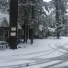 Отель Lily Bear Resort Cal - Pines Chalets, фото 4