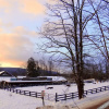 Отель Pinegrove Family Dude Ranch, фото 3