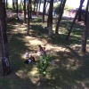 Отель Villa Katerina, фото 11