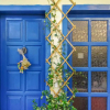 Отель St. Thomas Bed and Breakfast, фото 9