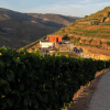 Отель Quinta Vale de Lobos Douro, фото 20