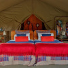 Отель Olengoti Safari Camp - East Africa Camps, фото 19