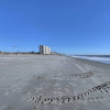 Отель Atlantic Beach Escape ~ 2 Mi to Barefoot Landing!, фото 20