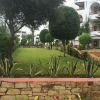 Отель Marina Beach Residence Touristique, фото 24