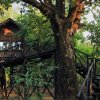 Отель Pugdundee Safaris- Tree House Hideaway, фото 12
