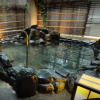 Отель Dormy Inn Express Koriyama Natural Hot Spring, фото 13