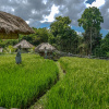 Отель Kts Balinese Villas By Zuzu, фото 8