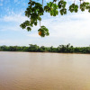 Отель Tambopata River, фото 45