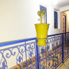 Отель Majorelle Hostel, фото 2